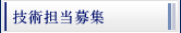 ZpSW